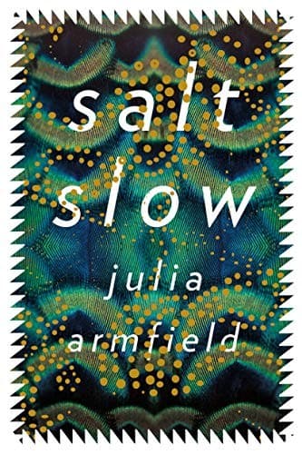 salt slow Cover