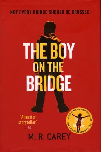 The boy on the bridge Cover