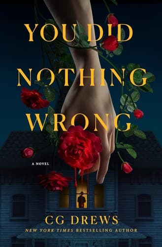 You Did Nothing Wrong Cover