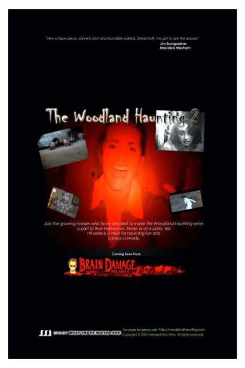 The Woodland Haunting 2 Poster