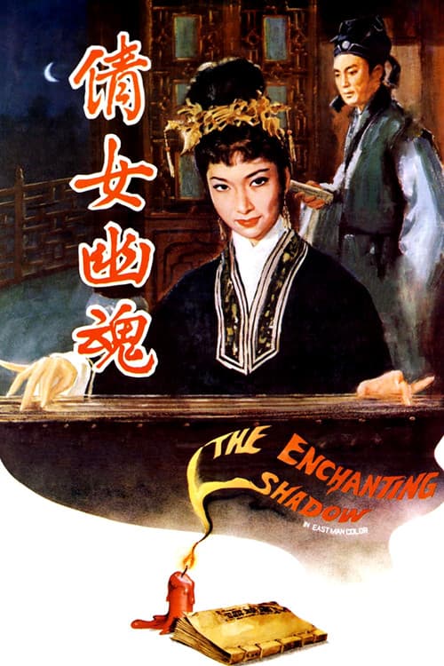 The Enchanting Shadow Poster