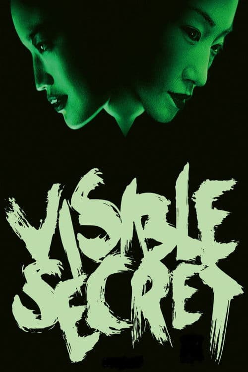 Visible Secret Poster