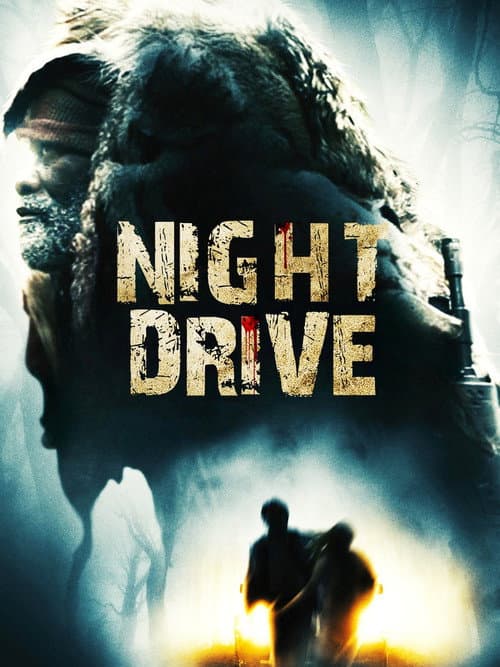 Night Drive Poster