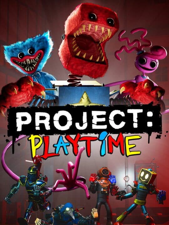 Project: Playtime Cover