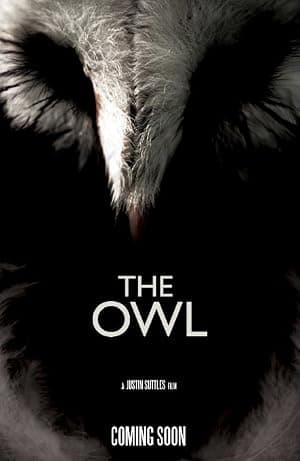 The Owl Poster