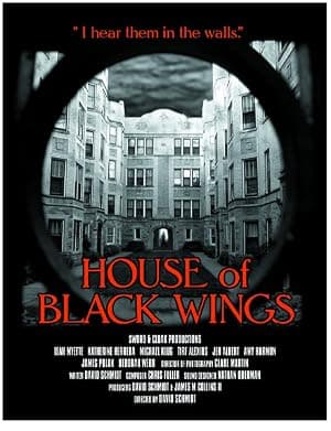 House of Black Wings Poster