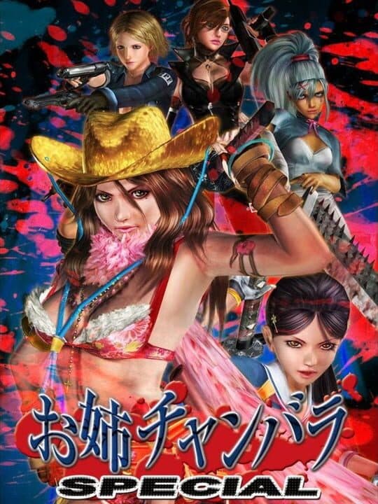 Onechanbara Special Cover